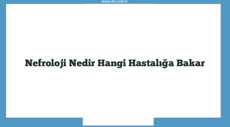 Nefroloji Nedir Hangi Hastalığa Bakar